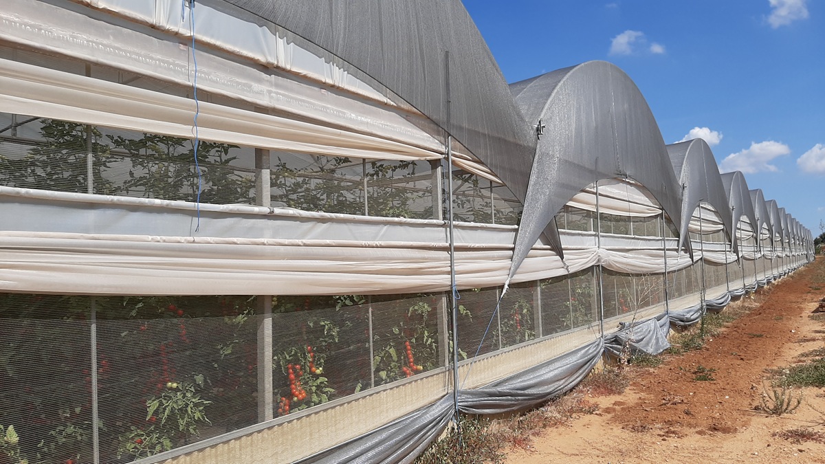 20220714_102320 (1)|20220714_100909|20210712_115831